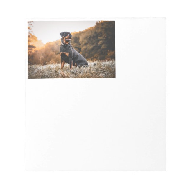 rottweiler sitting in frosty grass notepad (Front)