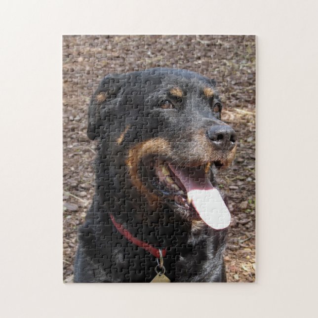 Rottweiler Smiling Dog Puzzle (Vertical)