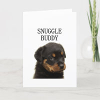 rottweiler snuggle buddy puppy