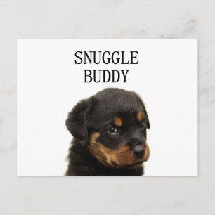 rottweiler snuggle buddy puppy postcard