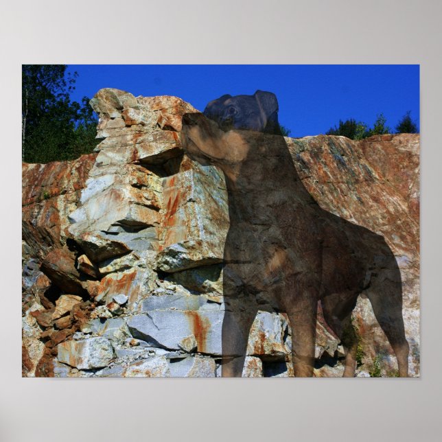 Rottweiler Stone Cliff Wall Fantasy Art Poster (Front)