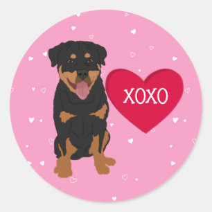 Rottweiler Valentines Day Classic Round Sticker