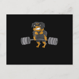 Rottweiler Weightlifting Bodybuilding  Dog Postcard