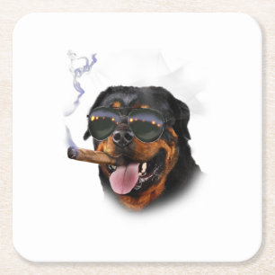 Rottweiler with cigar wearing aviator sunglass, square paper coaster