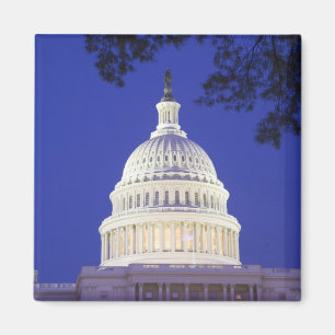 Rotunda of U.S. Capitol at night, Washington Magnet