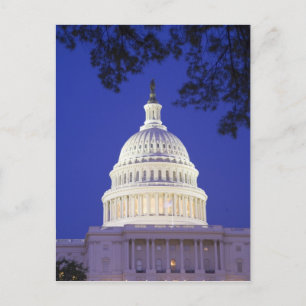 Rotunda of U.S. Capitol at night, Washington Postcard
