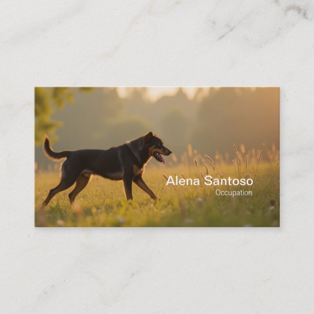Rotweiller Dog Business Card (Front)