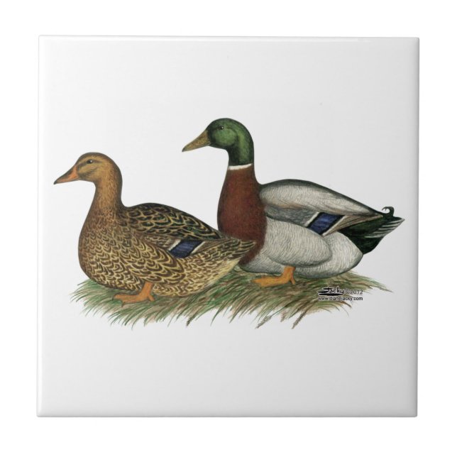 Rouen Ducks Ceramic Tile (Front)