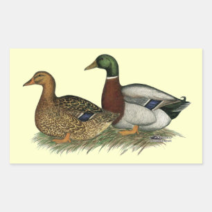 Rouen Ducks Rectangular Sticker