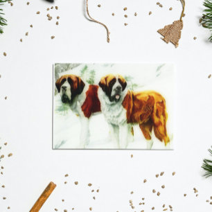 rough and smooth St Bernard - painting Postcard