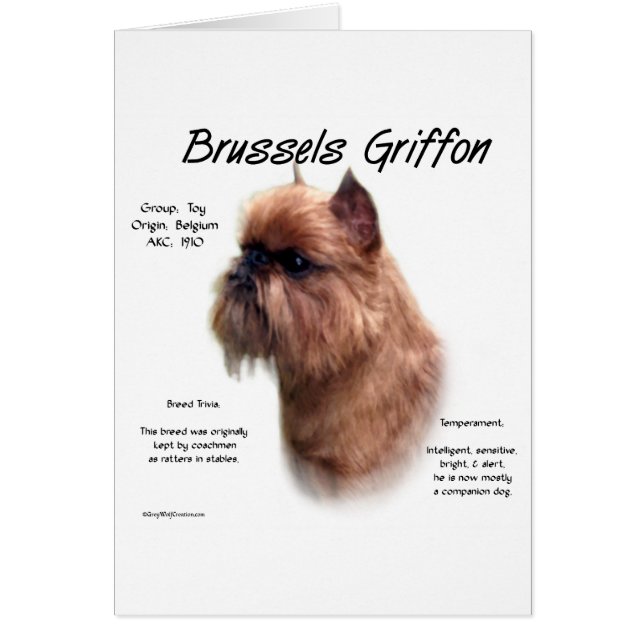 Rough Brussels Griffon History (Front)