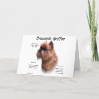 Rough Brussels Griffon History