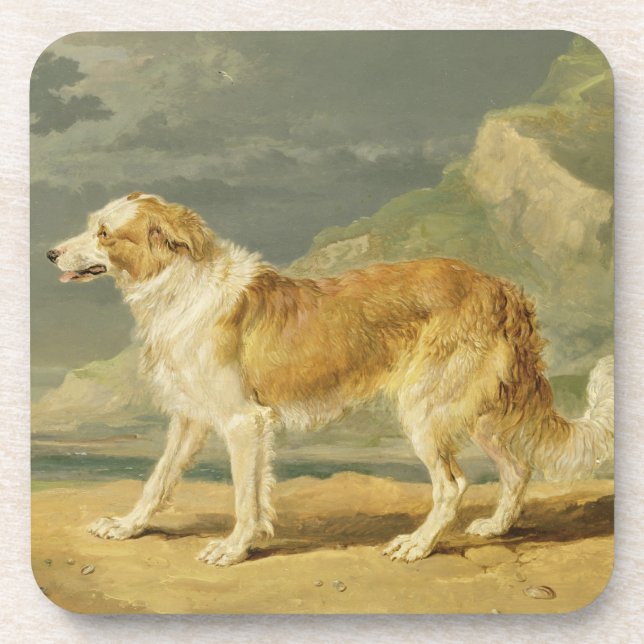Rough-coated Collie, 1809 (oil on board) Coaster (Front)