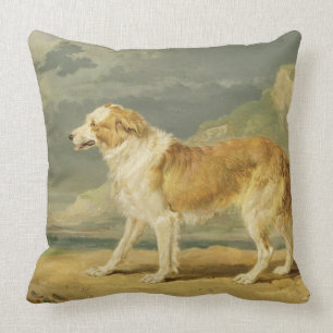 Rough-coated Collie, 1809 (oil on board) Cushion