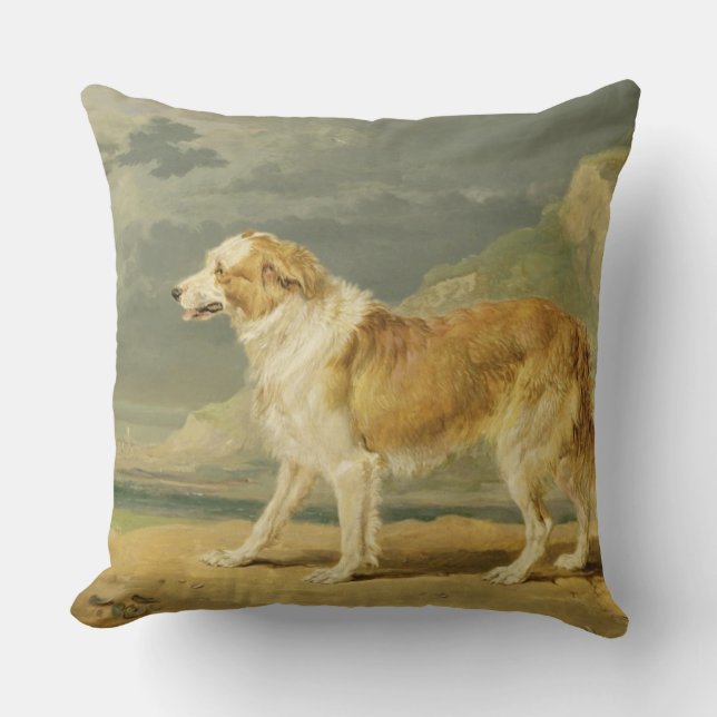 Rough-coated Collie, 1809 (oil on board) Cushion (Front)