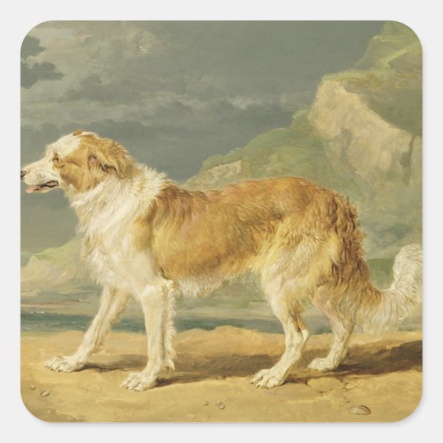 Rough-coated Collie, 1809 (oil on board) Square Sticker (Front)