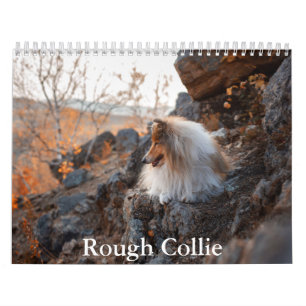 Rough Collie Calendar