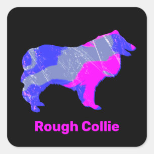 Rough Collie Crazy Hot Pink and Blue Square Sticker