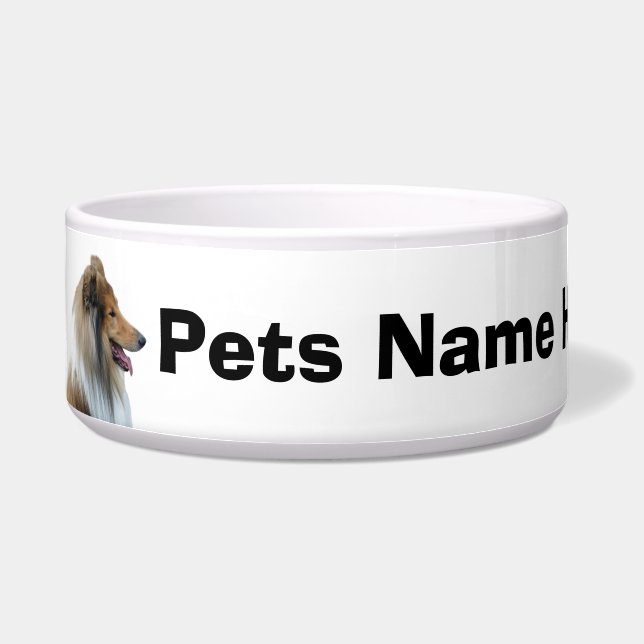 Rough Collie dog (Left)