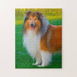 Rough Collie Dog Jigsaws. Jigsaw Puzzle