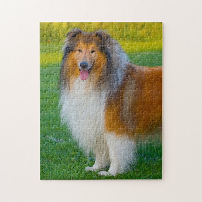 Rough Collie Dog Jigsaws. Jigsaw Puzzle (Vertical)