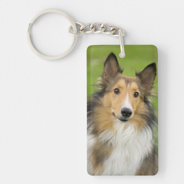 Rough Collie, dog Key Ring (Front)