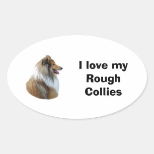 Rough Collie dog portrait photo Oval Sticker