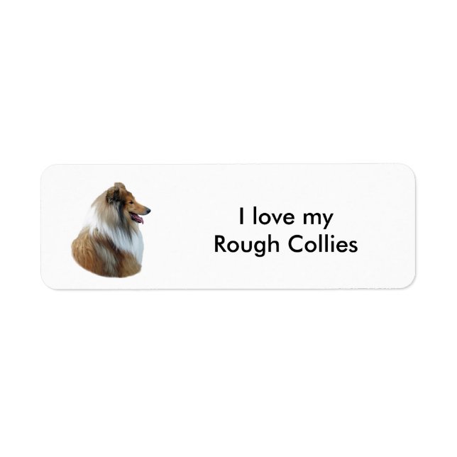 Rough Collie dog portrait photo Return Address Label (Front)