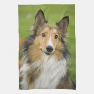 Rough Collie, dog Tea Towel