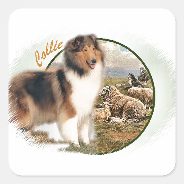 Rough Collie Keeper of the Sheep Square Sticker (Front)