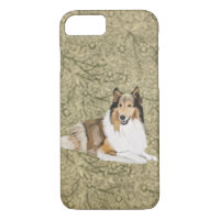 Rough Collie, Long Haired Collie
