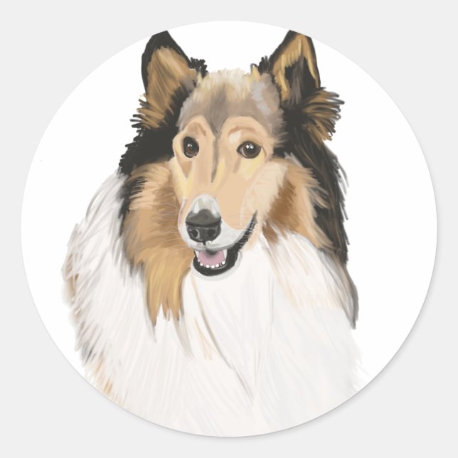 Rough Collie, Long Haired Collie Portrait Classic Round Sticker (Front)