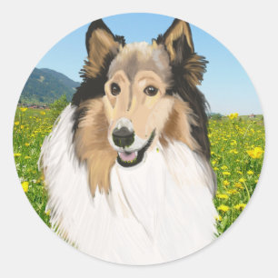 Rough Collie, Long Haired Collie Portrait Classic Round Sticker