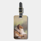 Rough Collie Luggage Tag