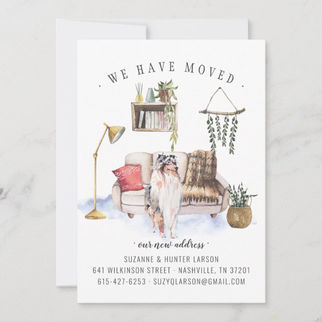 Rough Collie | Moving Announcement (Front)