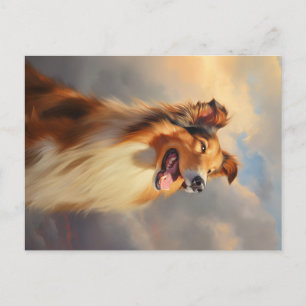 Rough collie / Scottish collie Postcard