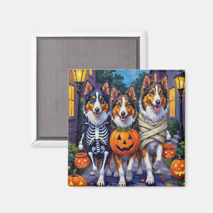 Rough Collie Trick-or-Treating Halloween Costumes Magnet