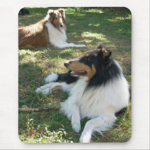 Rough Collies Mouse Pad