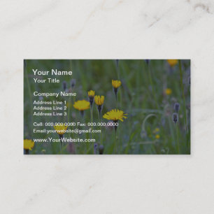 Rough hawkbit (Leontodon Hispidus) flowers Business Card