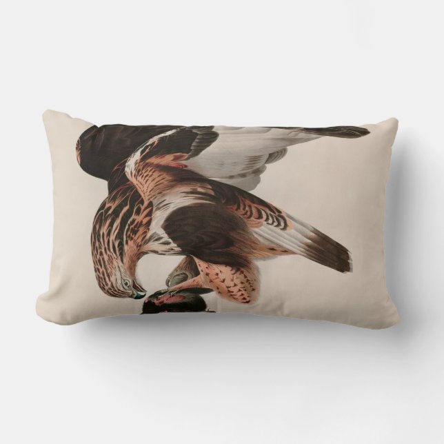 Rough-legged Falcon Birds of America Audubon Print Lumbar Cushion (Front)