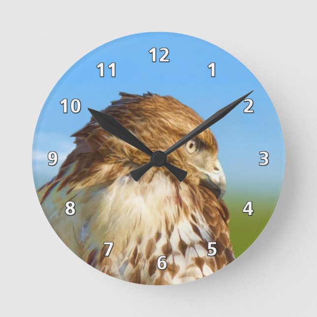 Rough-legged Hawk in Profile Round Clock (Front)