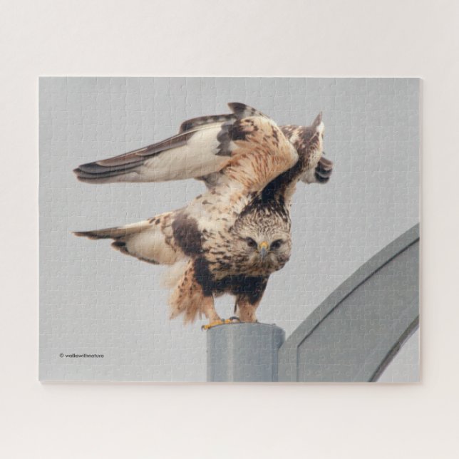 Rough-Legged Hawk on a Lamppost Jigsaw Puzzle (Horizontal)