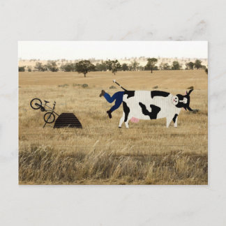 Rough Riding Postcard