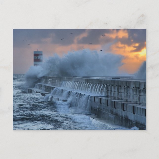 Rough sea at Porto, Portugal Postcard (Front)