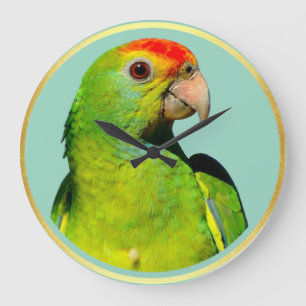 Round acrylic wall clock