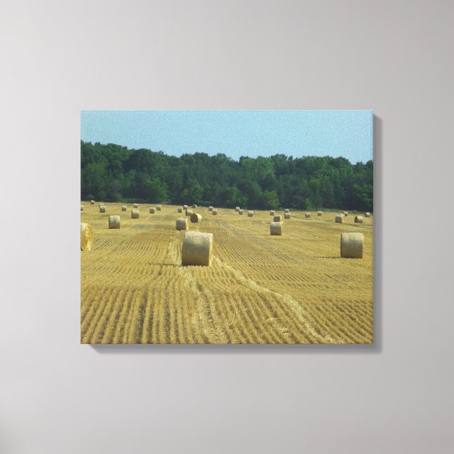 Round Bales Canvas Print (Front)