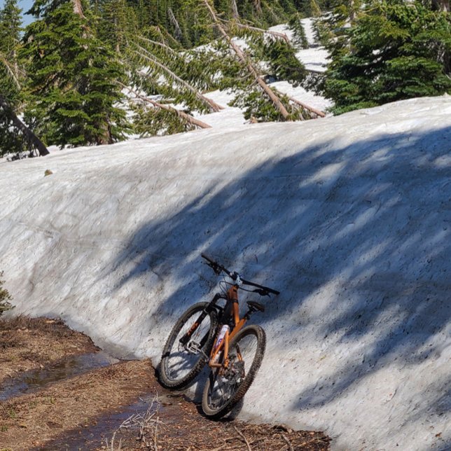 Round Button, Huge, 4 Inch 10 Cm Round Badge (Creator Uploaded)