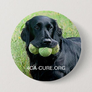 Round Casey Pin