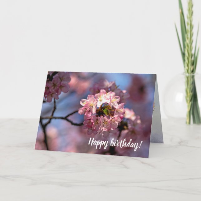 Round Cluster Of Sakura Flowers In Bloom Card (Front)