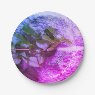 Round Colourful Stylish Paper Plate